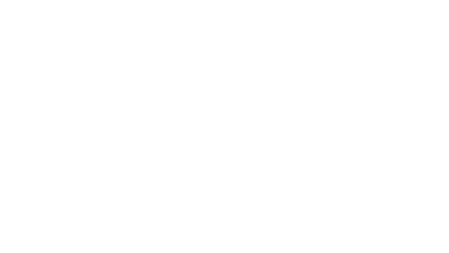 20 Year Logo