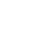 Connecting Everything icon